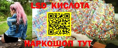 стафф Камышлов