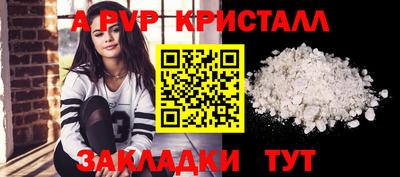 стафф Камышлов