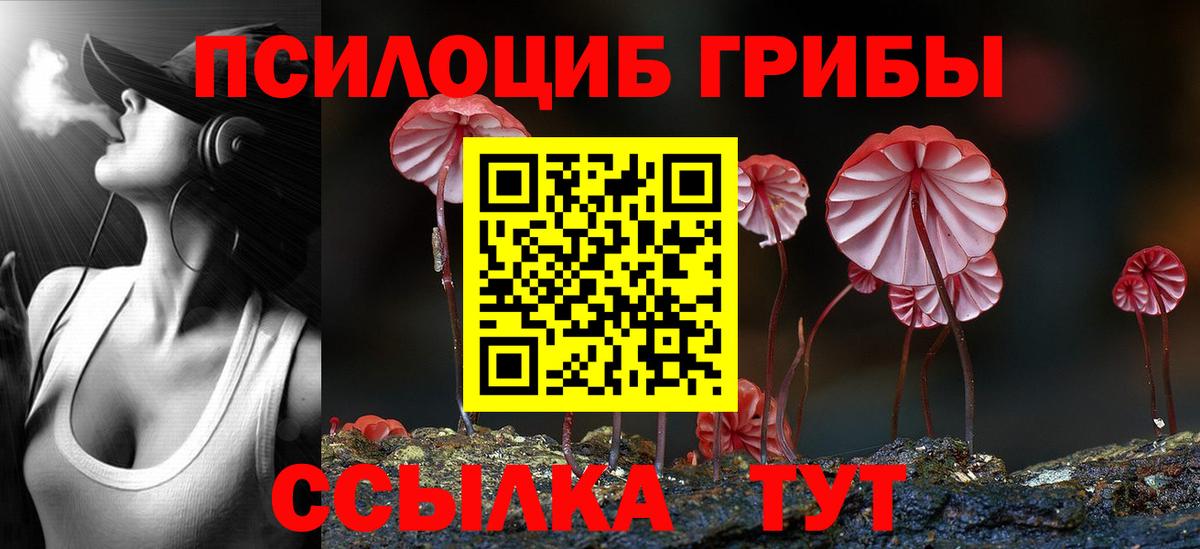 Галлюциногенные грибы прущие грибы Кострома